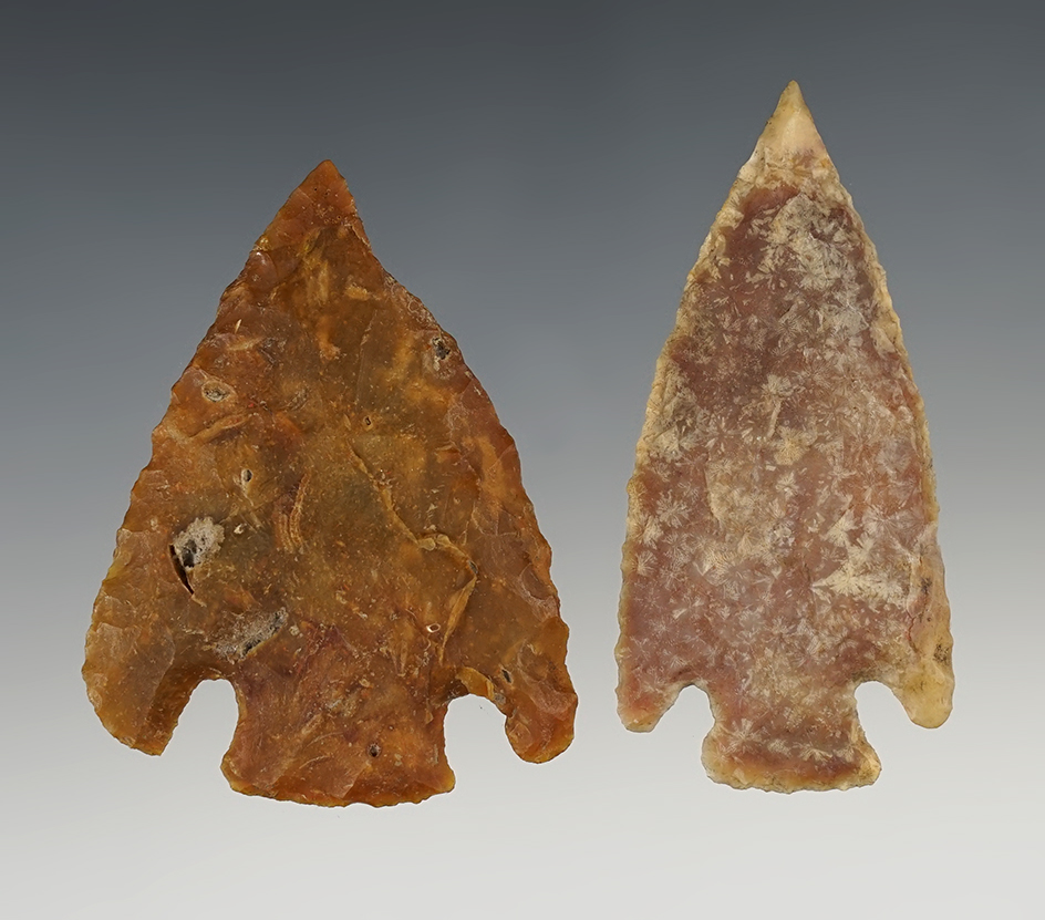 2 well made points with restoration, Found in Suwannee and Hernando Counties, Florida.