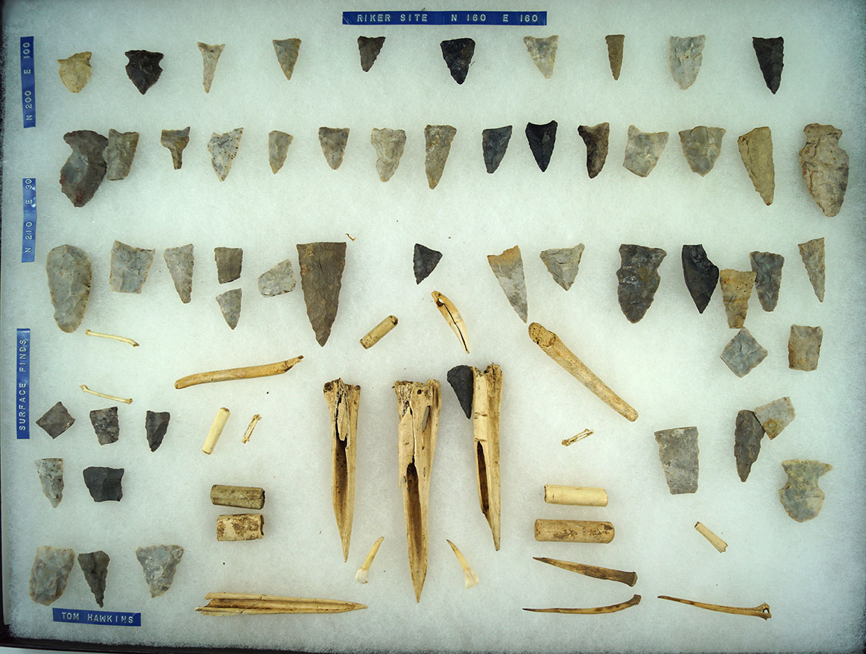 Riker site! 18 x 24 display frame of Flint and bone artifacts found at the Riker site.