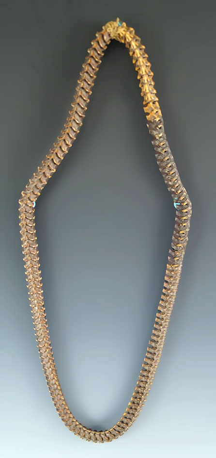 Unique! 29" long necklace made from rattlesnake vertebrae.  Deaccessioned Museum artifact.