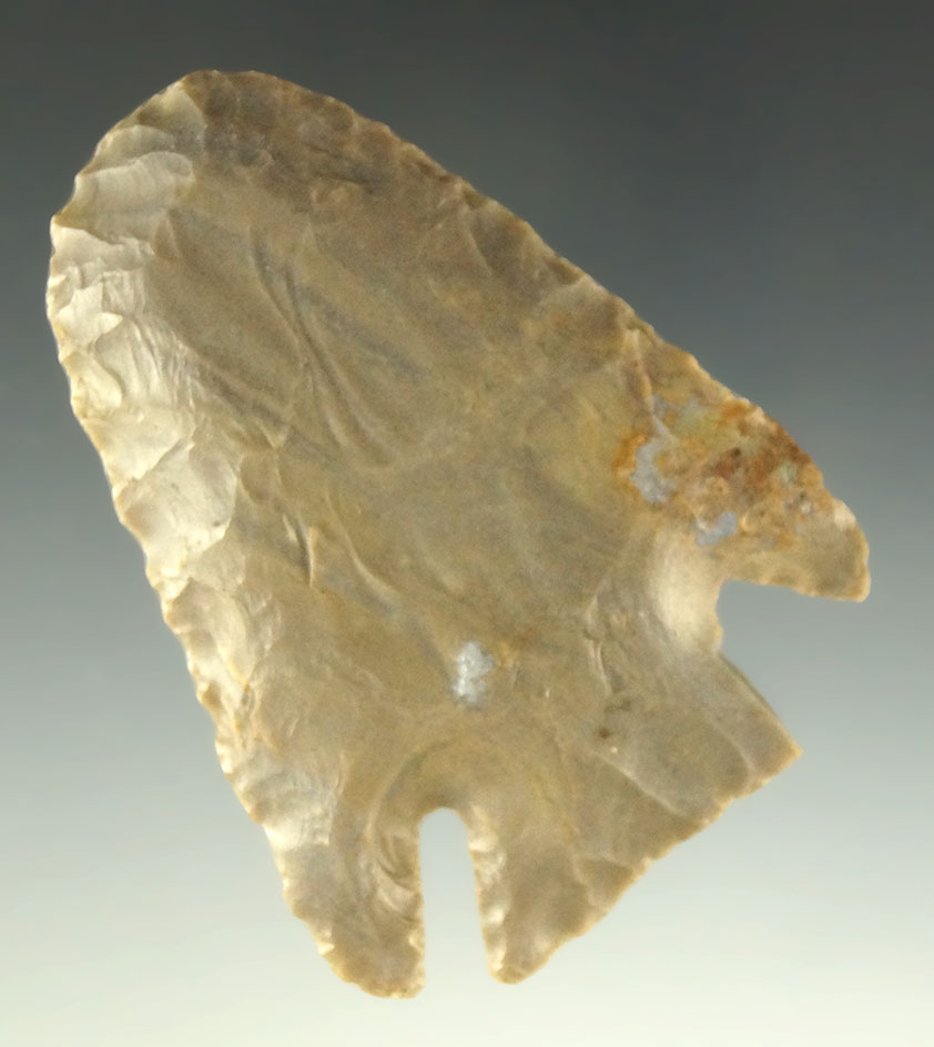 2 3/8" Archaic Cornernotch Hafted Scraper with nice deep notches found in Hardin County KY.