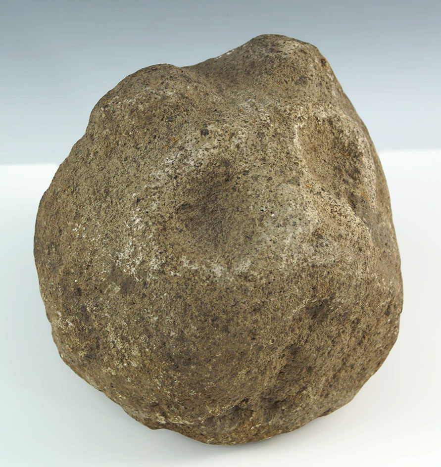 Rare! 6" by 6" Mountain Lion face carved in stone found by Sedlun K. Ogle in 1910 - Oregon.