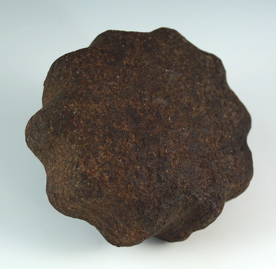 Nice! 3 5/8" wide Cog Stone that is very detailed. Found in Orange County, CA.