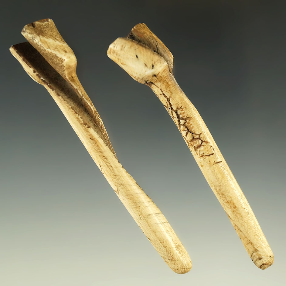 Two large shell ear plugs found in LaFlore County, Oklahoma. Largest is 3 7/8".