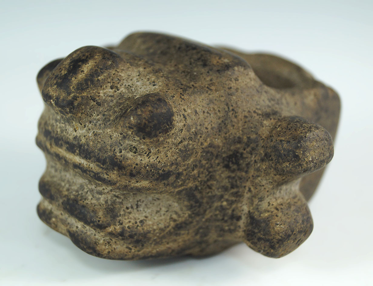 3 1/4" Jaguar Macehead with excellent features found in Costa Rica. Ex. H. B. Greene.