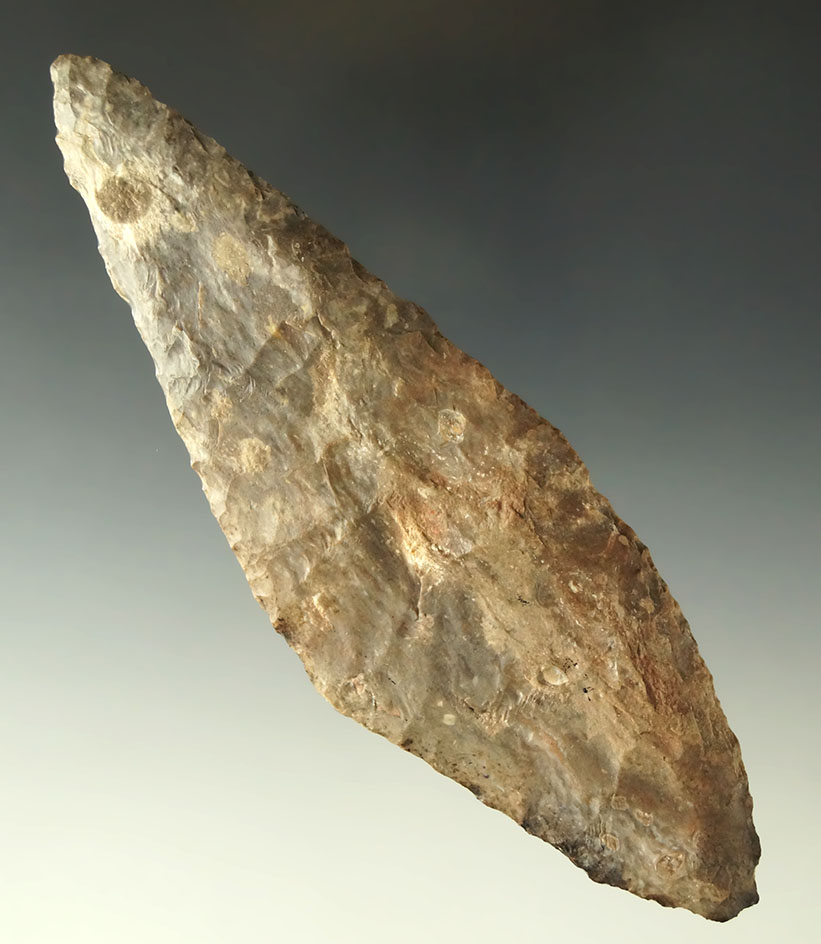 Large 5 5/16" Harahey Four Bevel Knife Ex. Shewey - found in Oklahoma.  Ex. Museum!