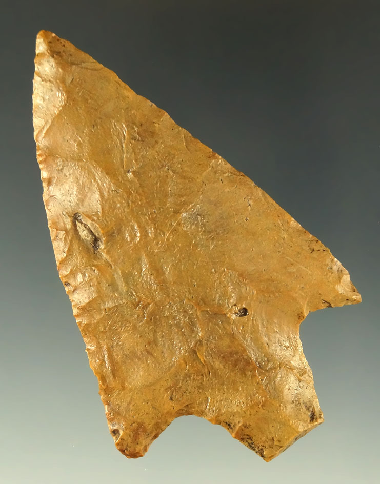 3 1/8" Newnan found in Alachua County Florida. Jackson & Davis COA's. Ex. Museum.