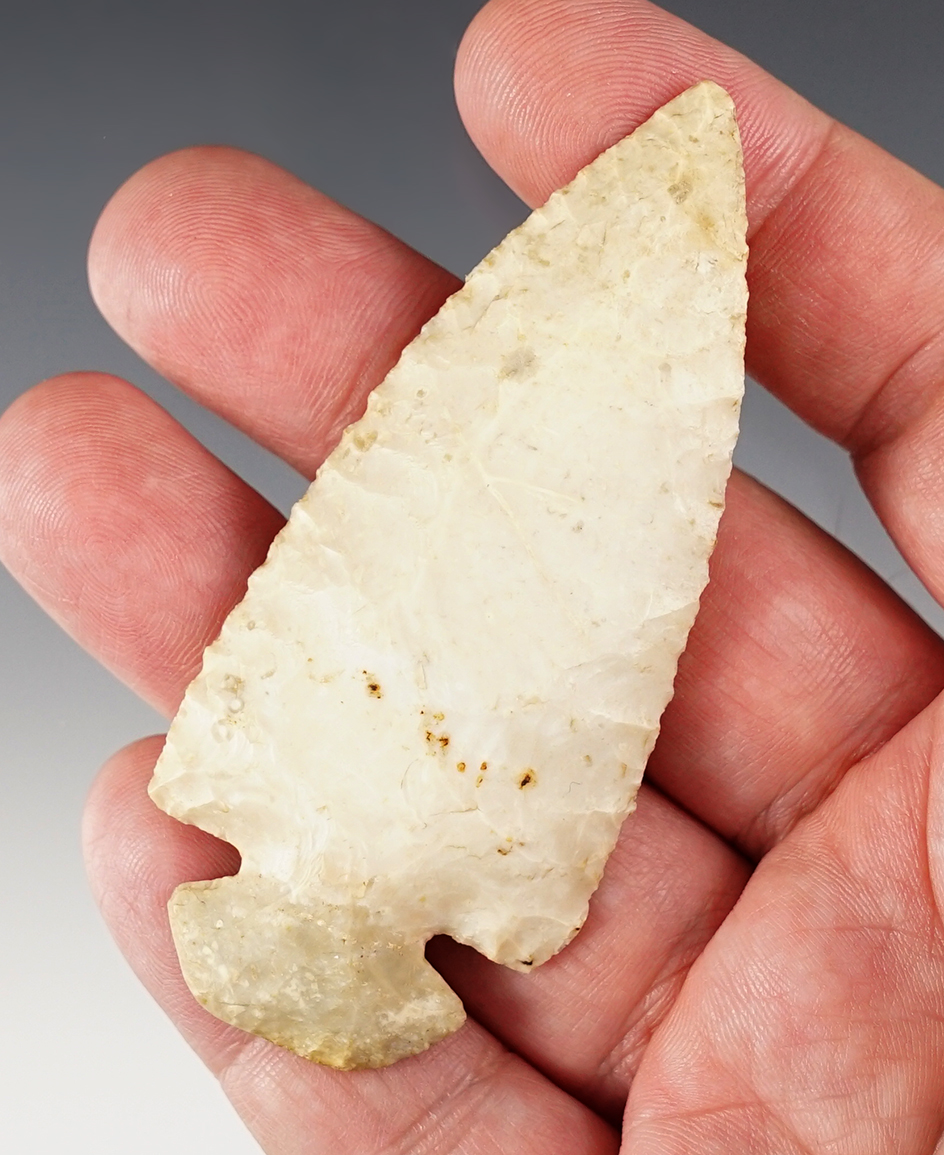 Nicely styled 3 3/16" Dovetail made from Burlington Chert. Found in Jersey Co., Illinois. COA's.