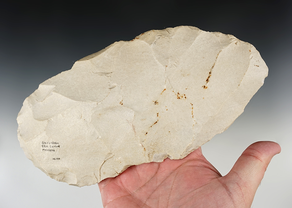 Large Paleo 8 7/8" Platter Biface Blade. Part of a cache that was found in the 1980's in Montana.