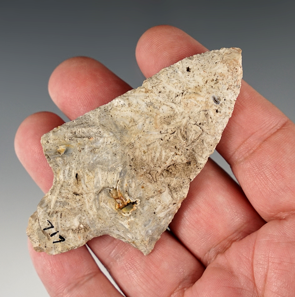 Nicely made 3 1/4" Stemmed Point found in Alachua Co., Florida. Original collector card from 1940.