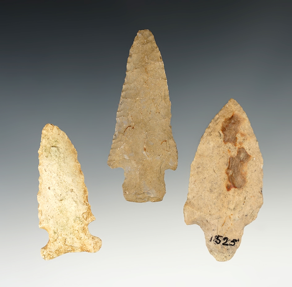 Set of 3 Florida points in good condition. The largest is 2 7/8". Includes the original collectors c