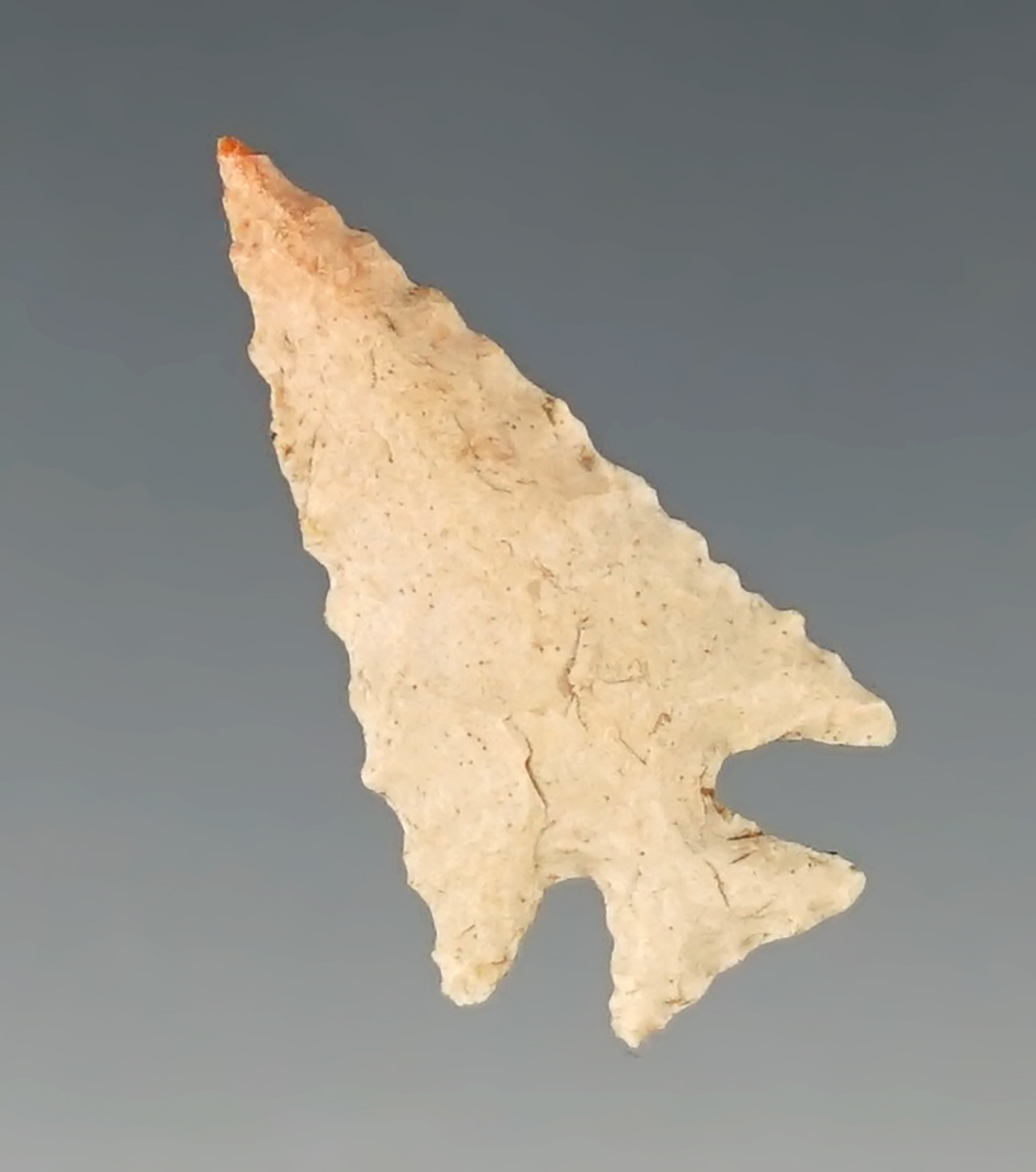 1 1/16" Scallorn found by Peter Gruber in Iowa. Beautifully made with outstanding flaking.