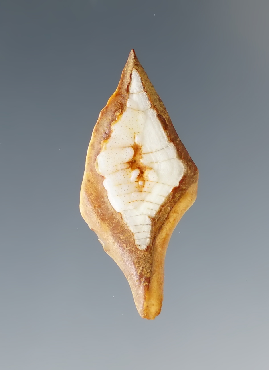 1 1/8" Gar Scale Arrowhead found in Van Zandt Co., Texas. Comes with a Rogers COA.