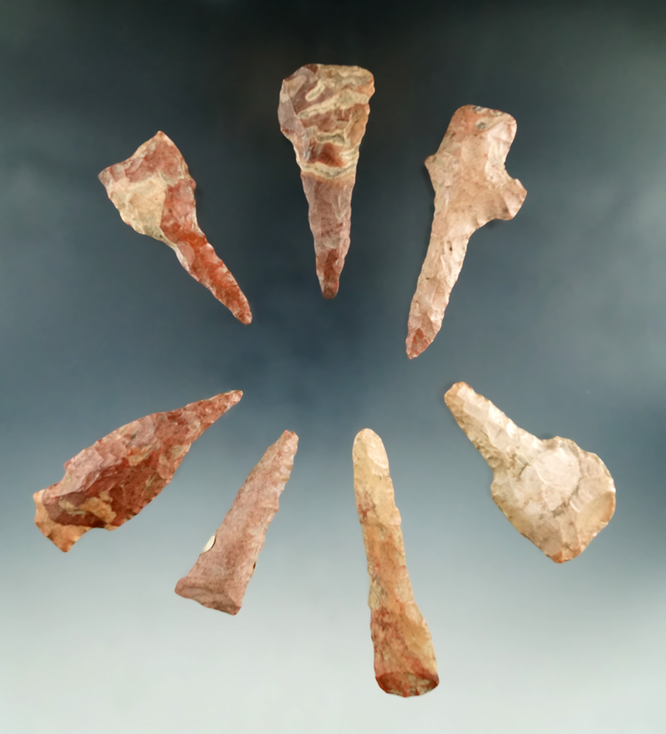 Group of Seven beautifully colored drills found in Mississippi, largest is 2 1/4".