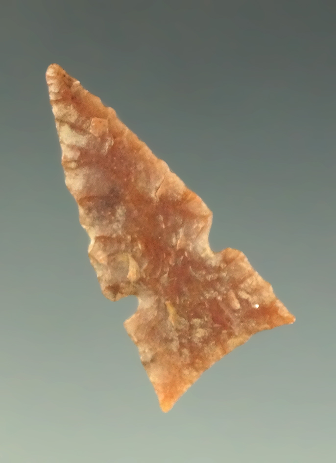 1 1/8" well flaked and heavily patinated sidenotch point found in Colorado.