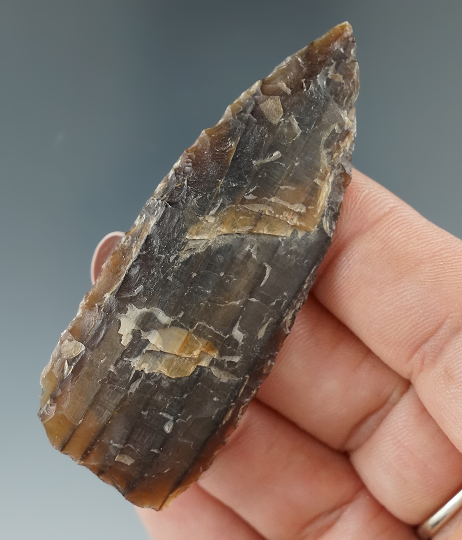 2 5/8" petrified wood Blade that is nicely translucent found in northwestern Nevada.