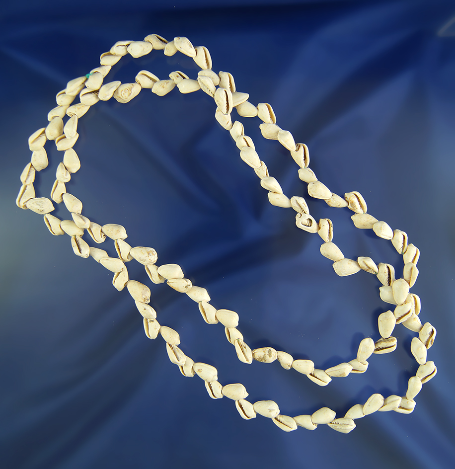 36" long strand of Historic Era drilled snail shell beads.