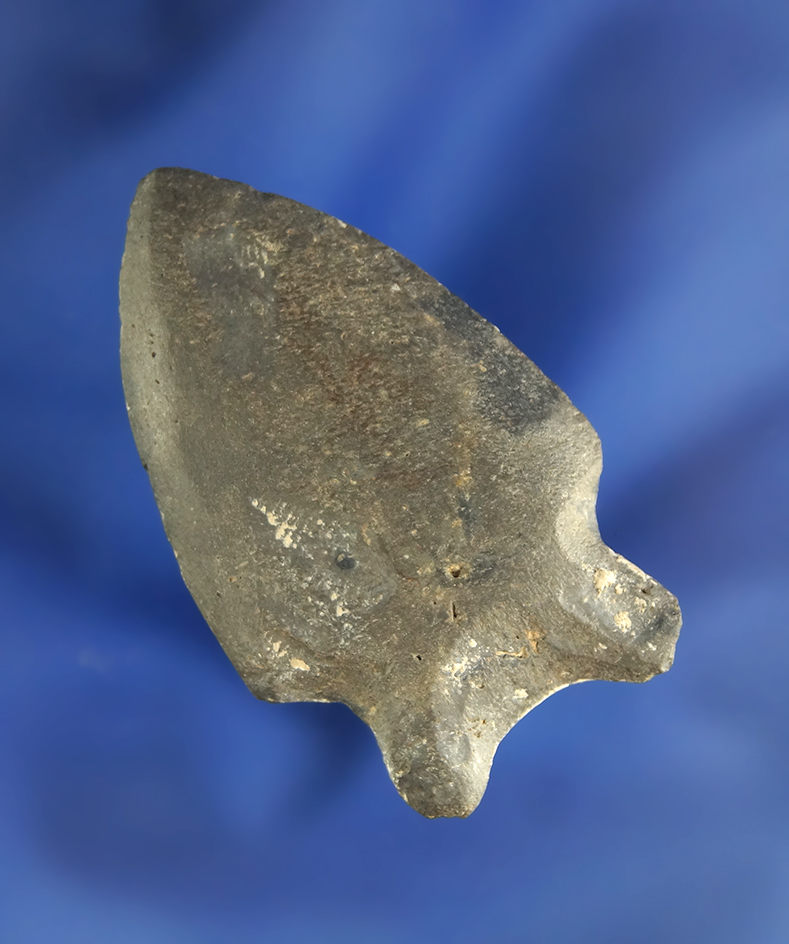 1 13/16" ground slate point found in Ohio. This is a rare style artifact!