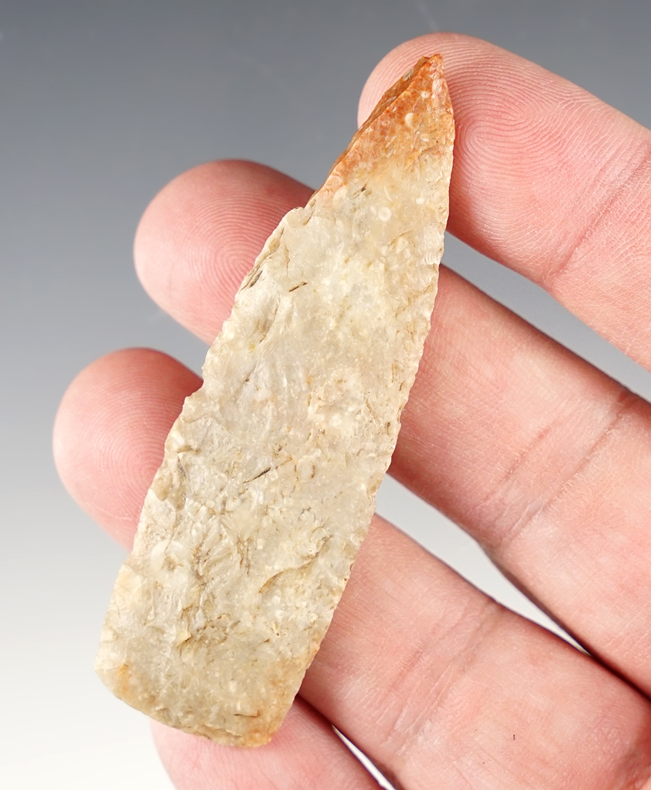 2 13/16" Paleo Lanceolate with an ancient impact fracture to the tip. Found in Colorado.