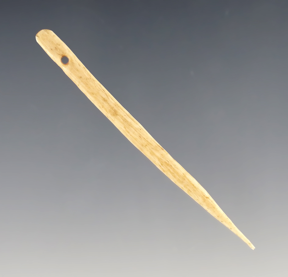 Excellent example! 2 9/16" Perforated Bone Needle found in Colorado
