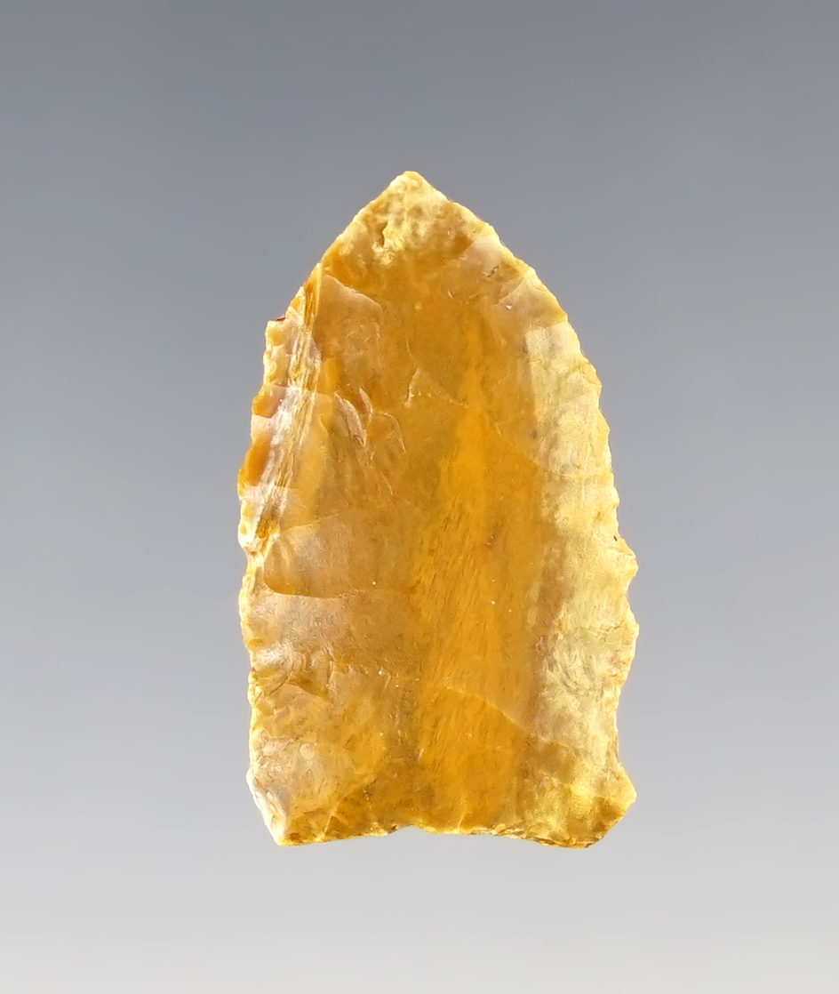 Rare! 1 1/4" Cody Complex Eden - Shirley Basin, Carbon Co., Wyoming. Taylor COA.