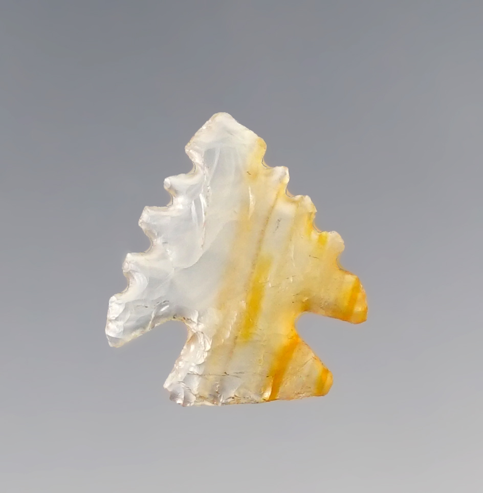 Exceptional style and serrations! 5/8"  Agate Cornernotch Bird Point found in Wyoming.