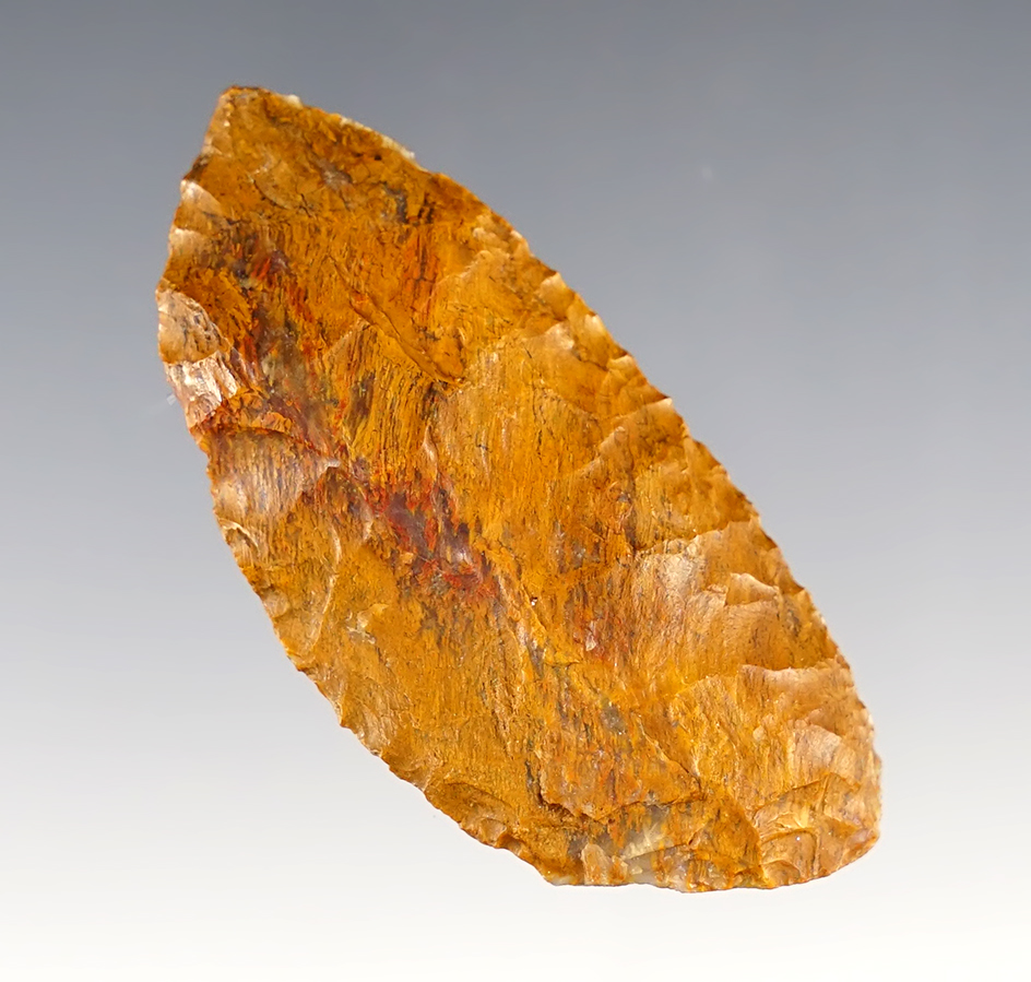 2 1/4" crescent-shaped Knife found in southeast Colorado made from attractive petrified wood.