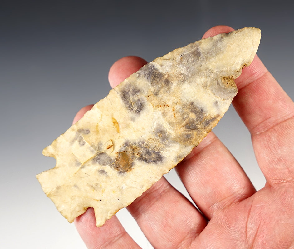 4 1/4" Illinois Etley. There is a fossil inclusion on one edge close to the tip. This is not damage.