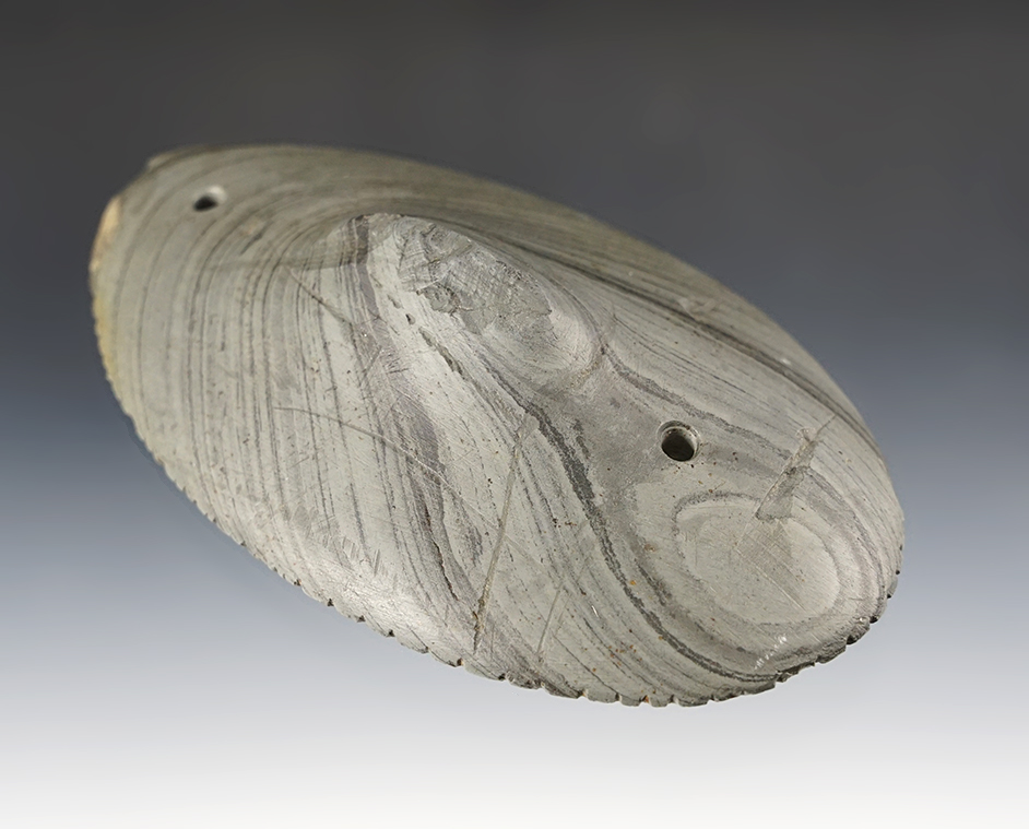 Outstanding 4 3/16" Spineback Gorget with multiple fine tallies - Putnam Co., Ohio.