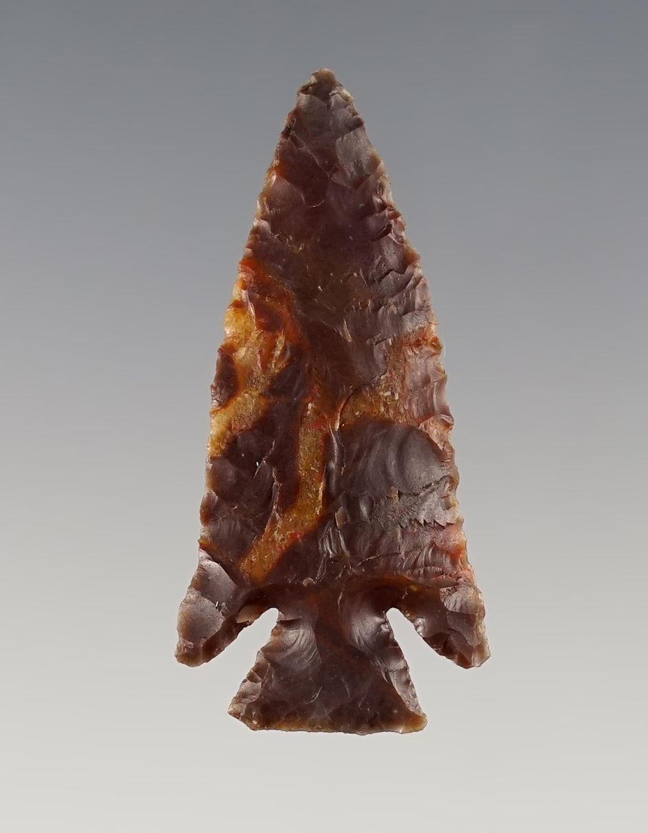 Incredible! 1 11/16" Dolores found close to the San Miguel River in Colorado. 