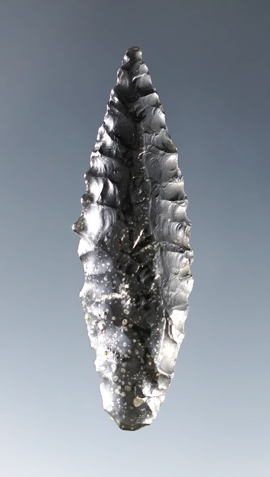 1 11/16" well flaked Obsidian Cascade found in southern Oregon. Ex. C.L. Pugh Museum. 