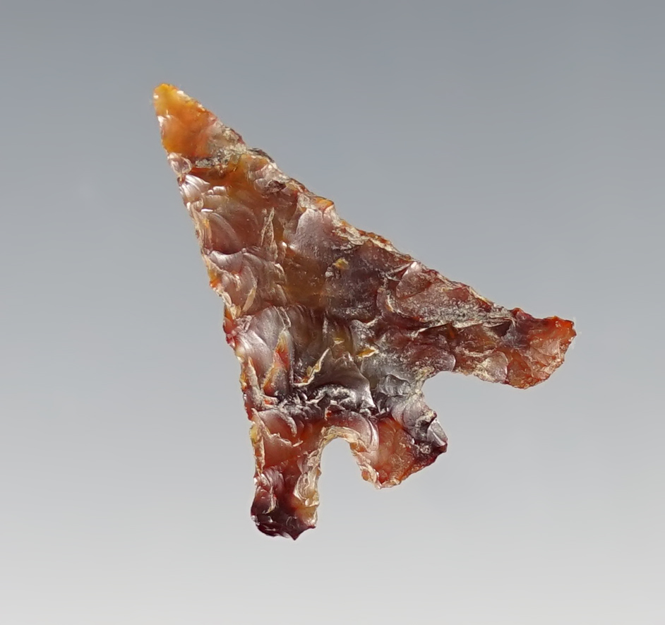 1 1/8" Columbia Plateau - Washington/Oregon. Comes with a Stermer COA.  