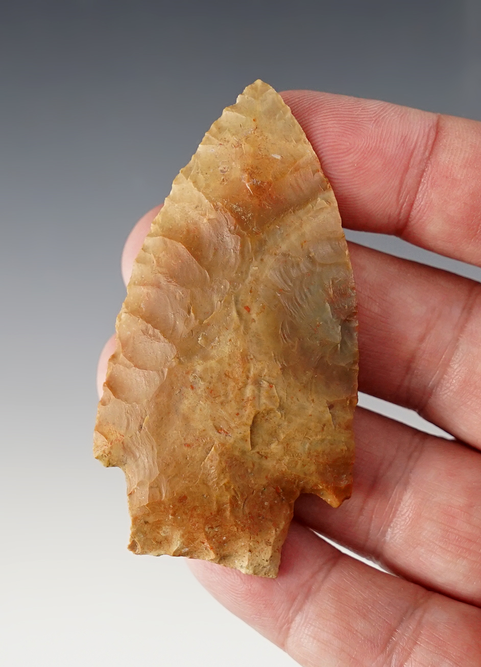 2 13/16" colorful Stemmed Knife with nice flaking. Found in the Kentucky/Tennessee area.