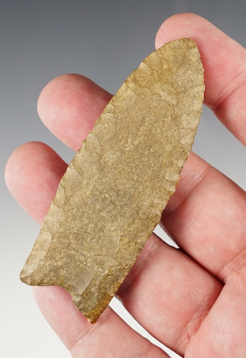 Superb! 3 3/16" Paleo Fluted Clovis found in Towns Co., Georgia near Shootings Creek Bald.