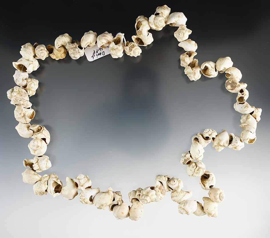 24" Strand of Shell Beads found in Waverly Co., Tennessee by Bobby Hendricks.