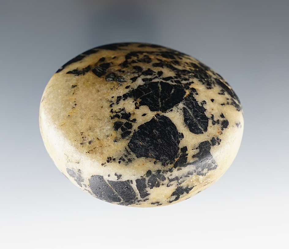 2 3/4" Diameter exotic black and white Quartz Biscuit Discoidal, Indiana.