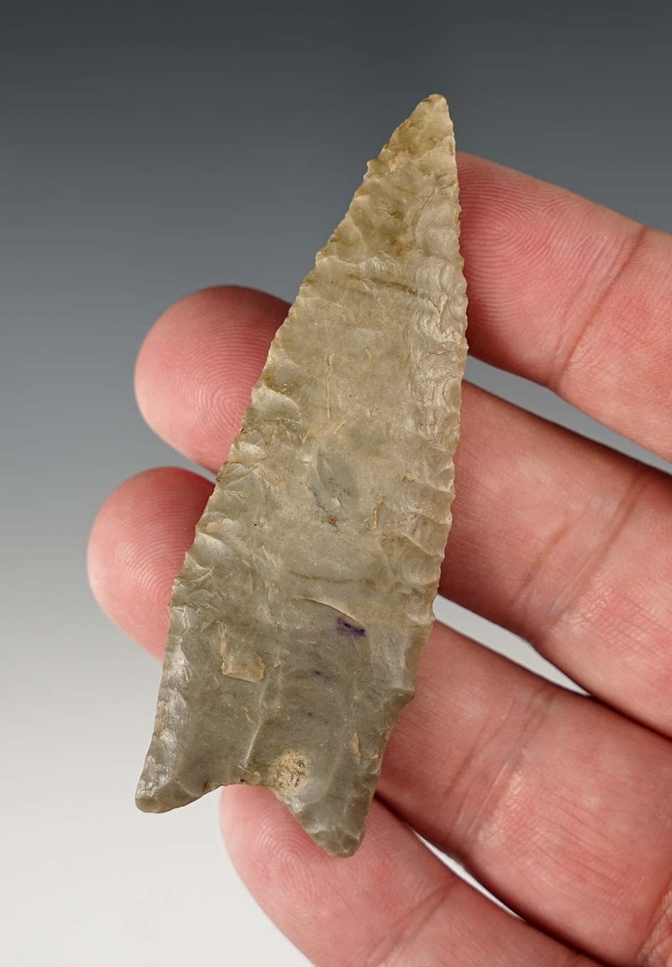 Well made 3" Dalton found in Missouri. Ex. Shewey and Bogle. Jackson COA.