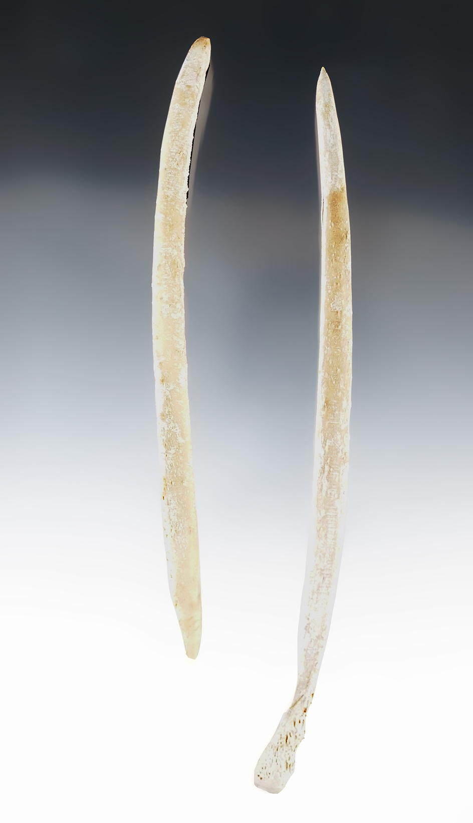 Pair of Awls found in Saltville, Virginia in the 1920's. Largest is 6 15/16".