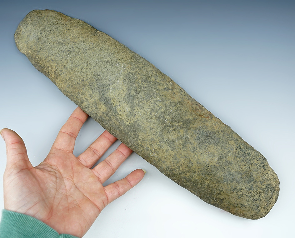 Large 13 3/4" long Stone Hoe in very nice condition. Found in Maryland.