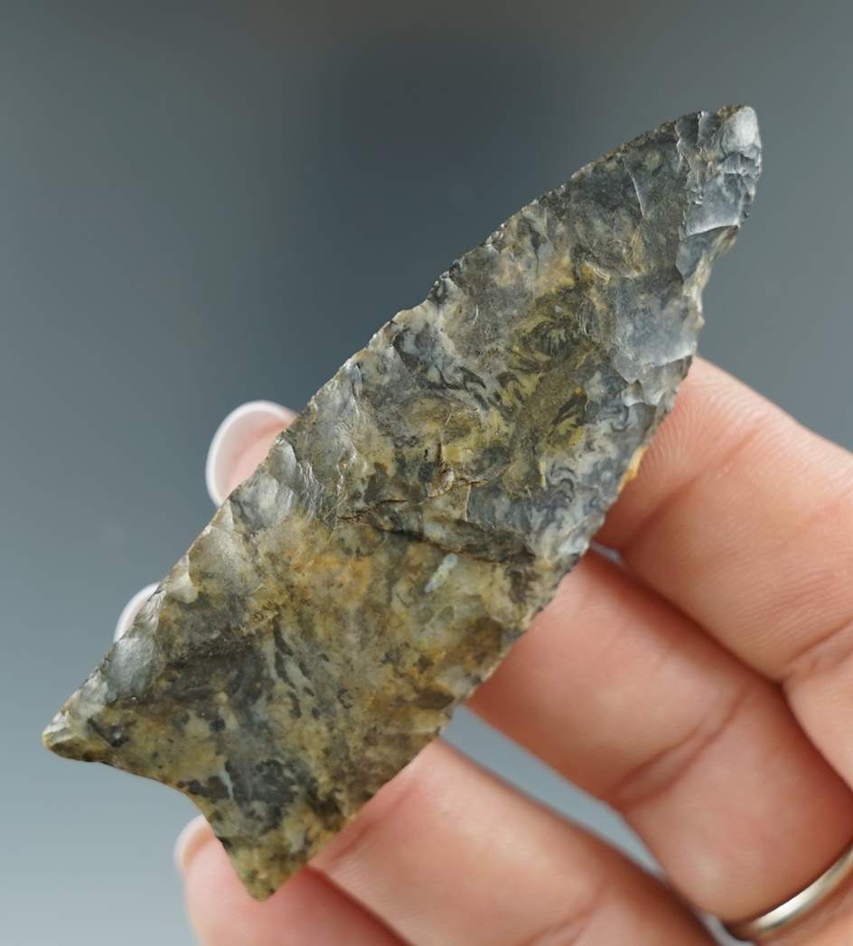 2 7/8" Paleo Fluted Clovis made from attractive Upper Mercer flint - Ohio. Davis G-9 COA.