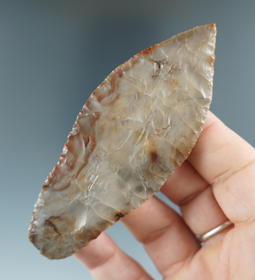 Exceptional! Thin and very well-made 3 3/4" Paleo Cougar Mountain. San Matteo Co., CA. COA.