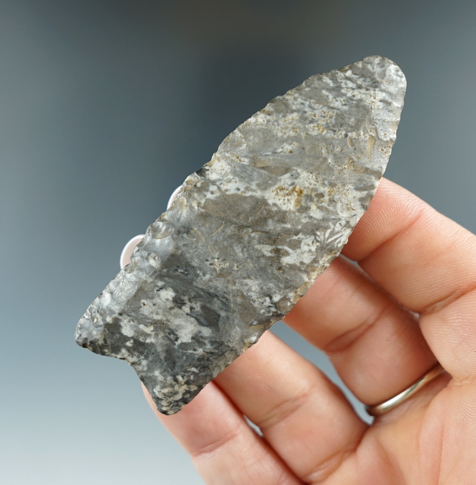 2 15/16" Paleo Fluted Clovis - Boone chert - found in Kansas. Jackson and Davis G-8 COAs.