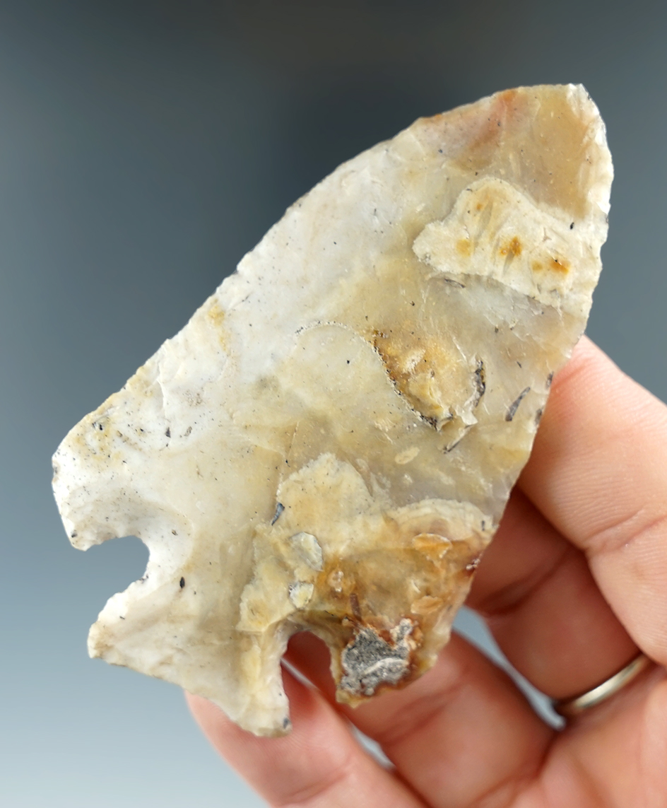 3 1/8" classic style Clay point found in Florida. Comes with a Rogers COA.