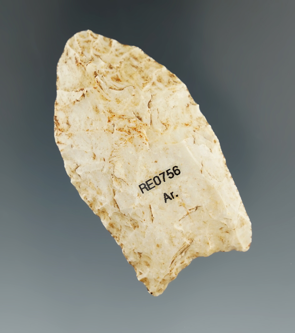 2 5/16" Paleo fluted Clovis found in Arkansas.
