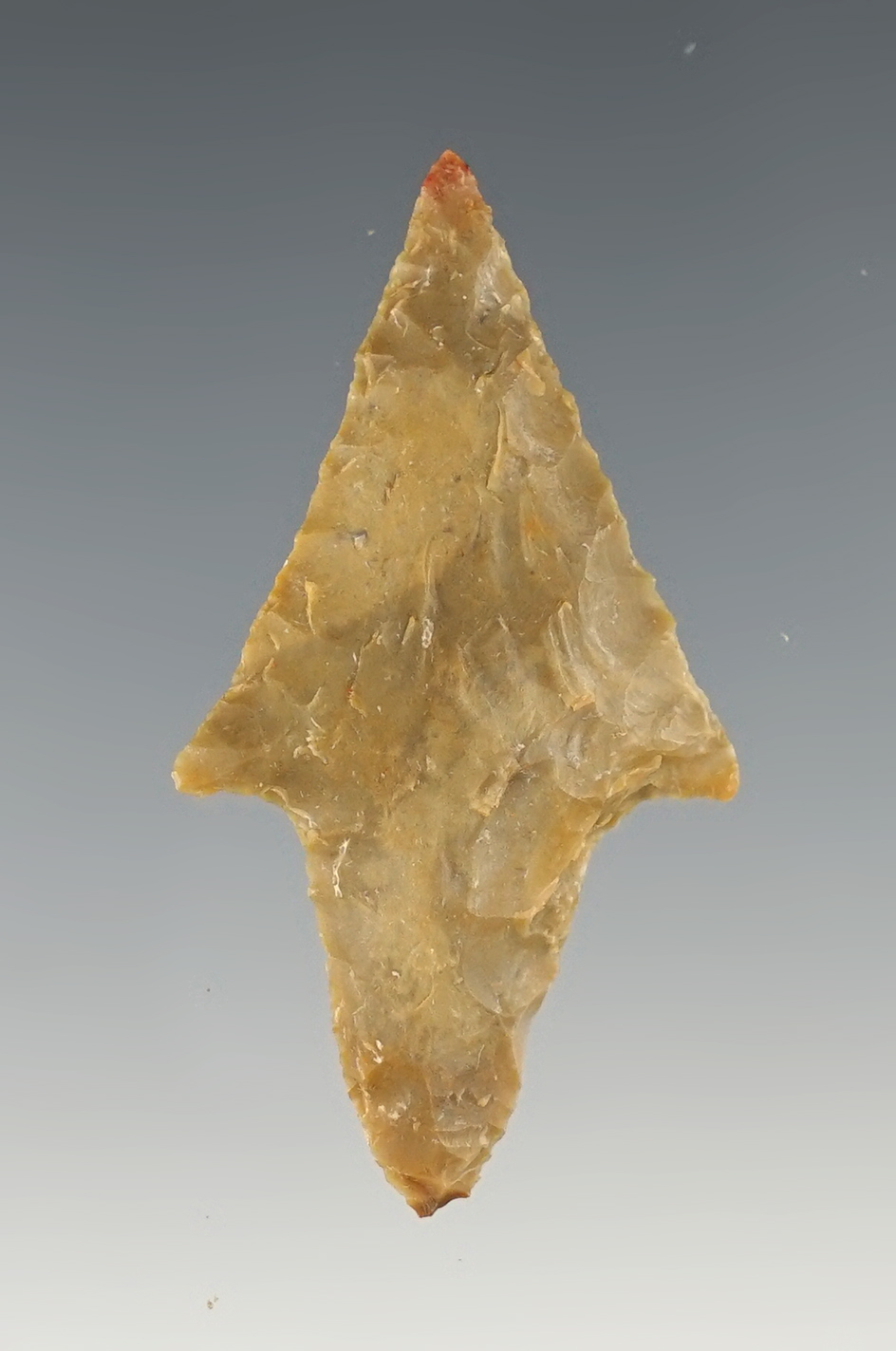 1 15/16" Arenosa found in Zapata Co., Texas. Comes with a Rogers COA.