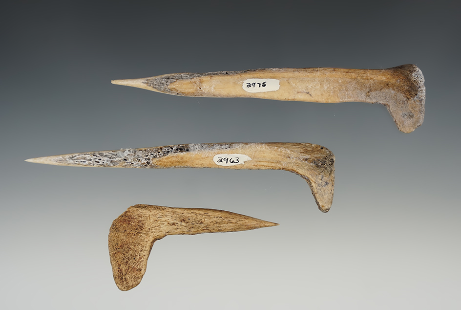 Set of 3 Bone Awls in great condition. Found in Umatilla, Oregon. The largest is 4 3/8".