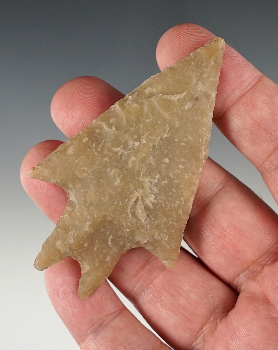 Nicely styled 3 1/8" Pedernales found in Kerr Co., Texas. Comes with a Bill Arnold COA.