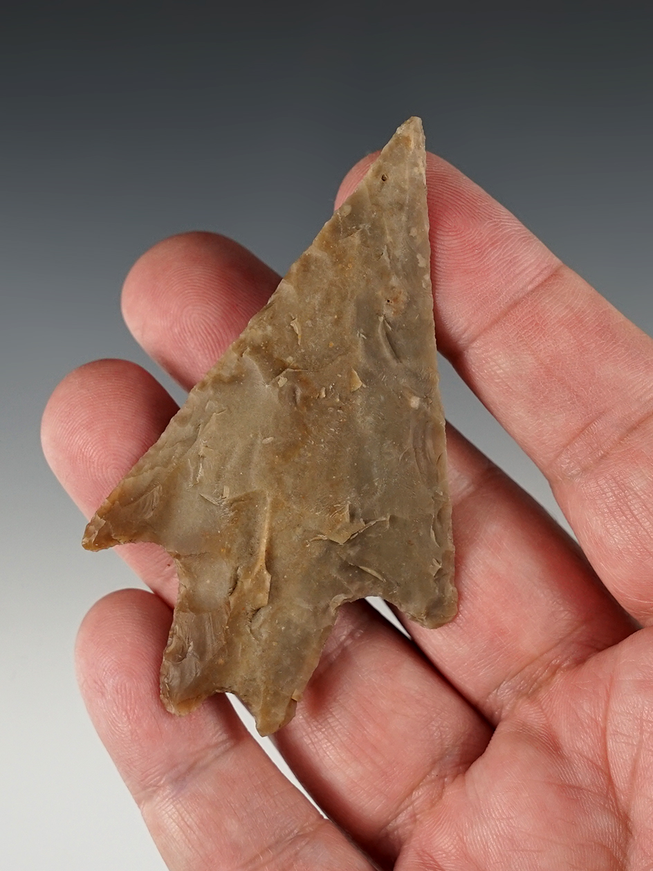 3 1/8" Texas Pedernales with long, well defined shoulders. Comes with a Rogers COA.