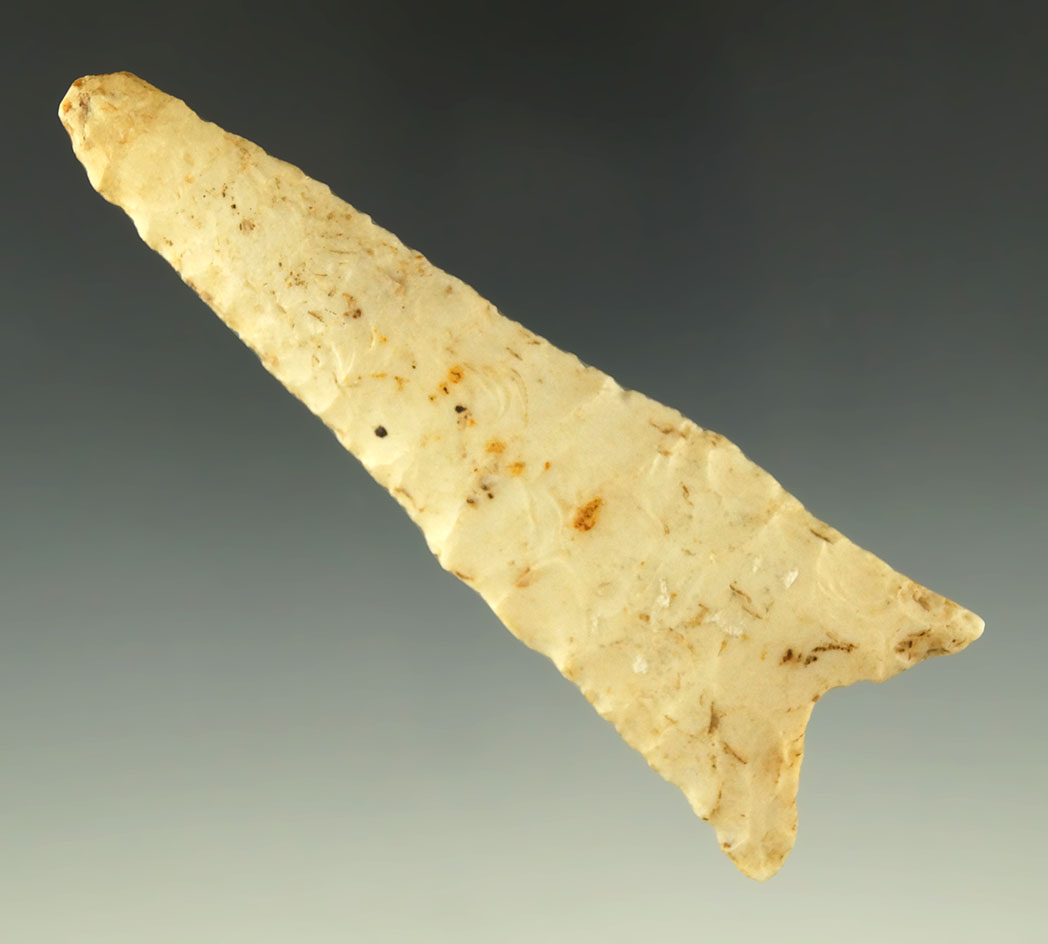 3 7/8" Dalton that is nicely made from Burlington chert. Possibly used as a drill -  Rogers COA.