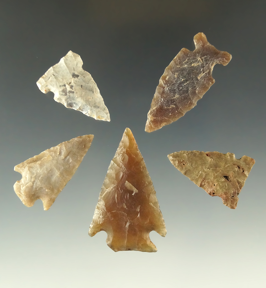 Set of five assorted arrowheads found in North Dakota, largest is 1 9/16".