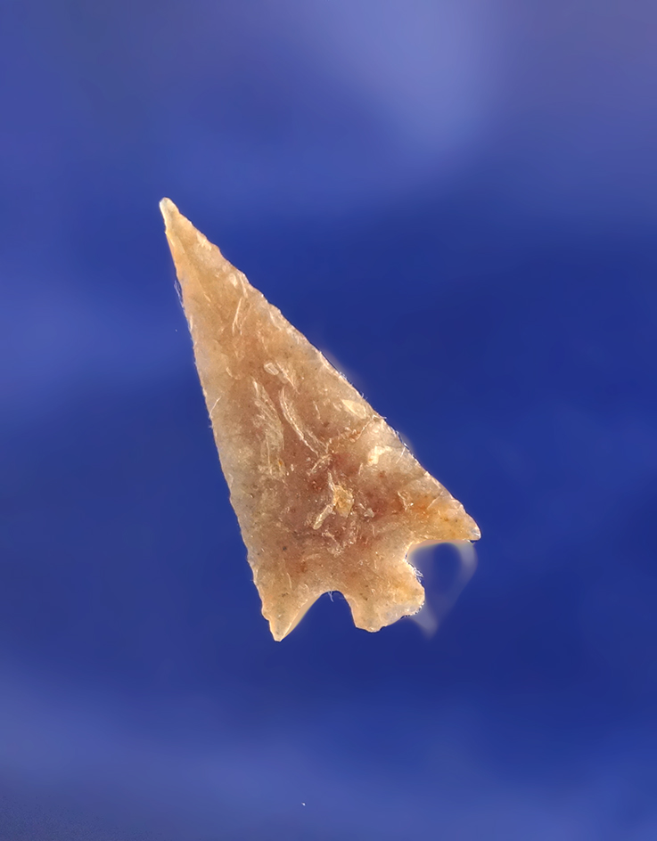 Thin and well flaked 15/16" Columbia River Gempoint found in Washington.